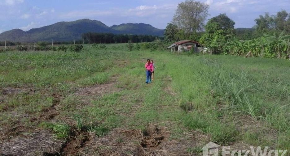 For sale land in Wang Saphung, Loei