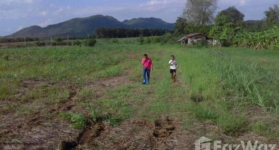 For sale land in Wang Saphung, Loei