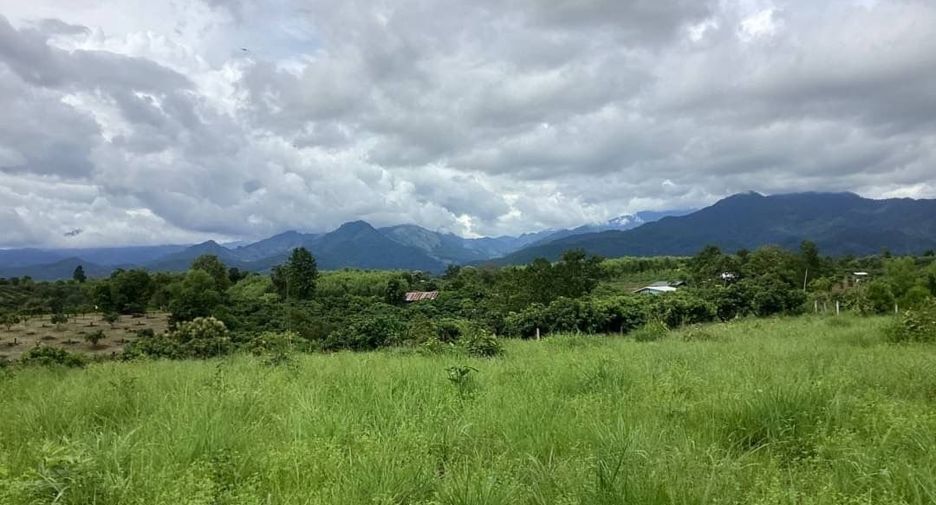 For sale land in Pua, Nan