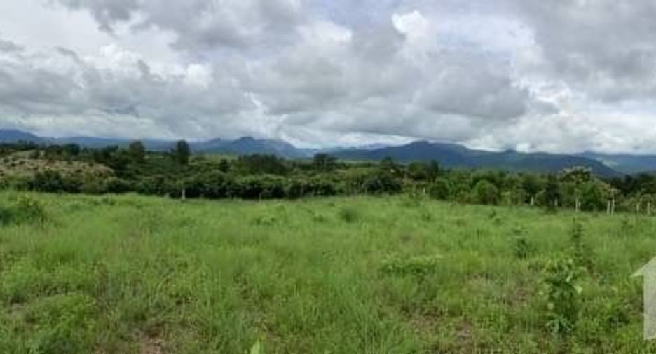 For sale land in Pua, Nan