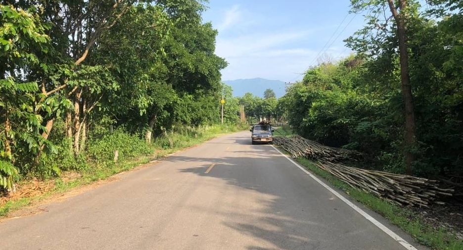 For sale land in Pua, Nan