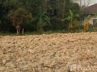 Terreno en venta en Mae Sai, Chiang Rai
