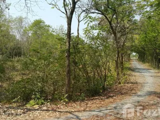 出售 土地 在 Don Chedi, Suphan Buri