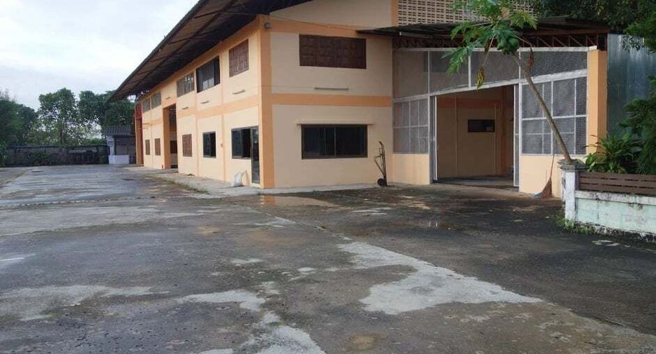 For sale land in Fang, Chiang Mai