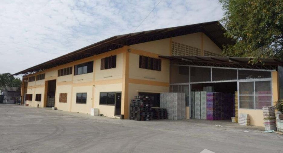 For sale land in Fang, Chiang Mai