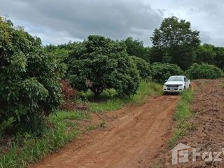 For sale land in Pak Chom, Loei