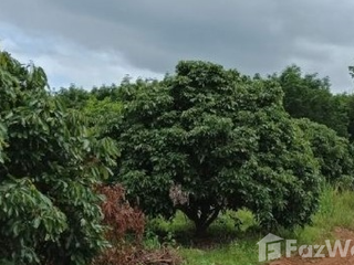 For sale land in Pak Chom, Loei