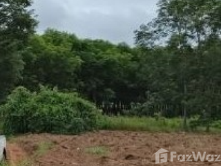 For sale land in Pak Chom, Loei
