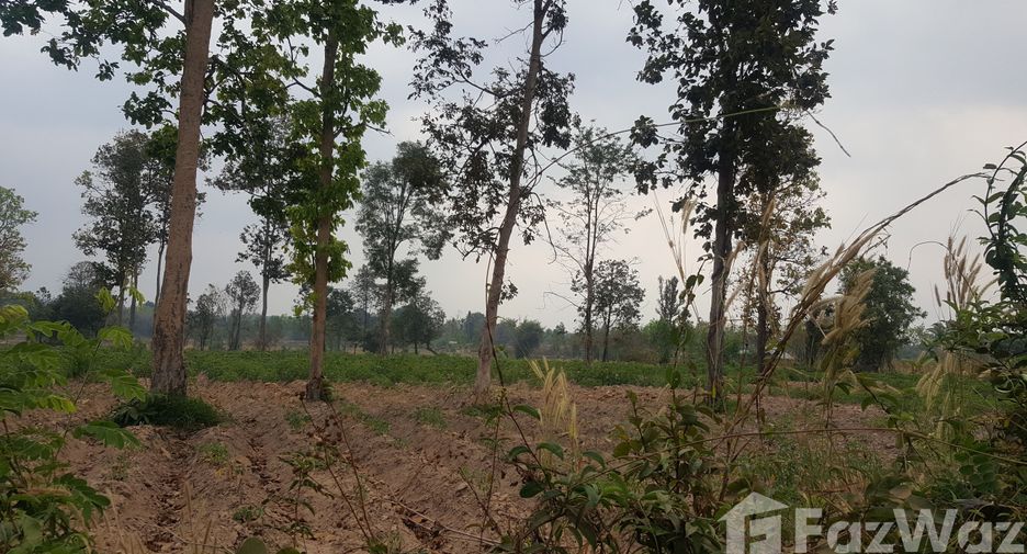 For sale land in Mueang Mukdahan, Mukdahan
