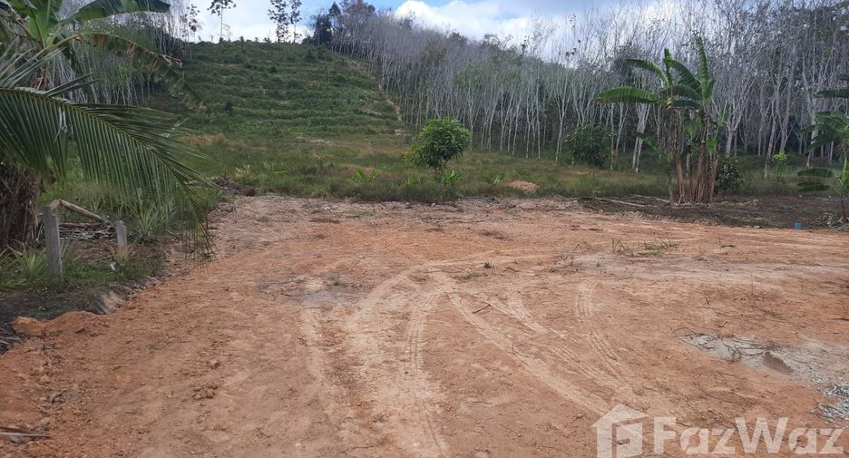 For sale land in Na Thawi, Songkhla