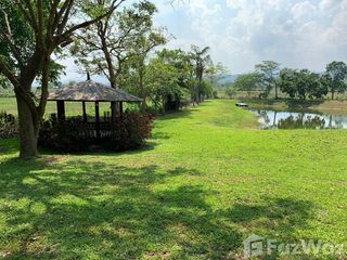 For rent 2 ベッドルーム house in Mueang Chiang Rai, Chiang Rai
