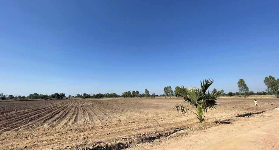 For sale land in Phrom Phiram, Phitsanulok