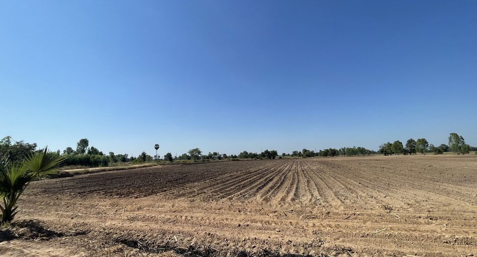 For sale land in Phrom Phiram, Phitsanulok