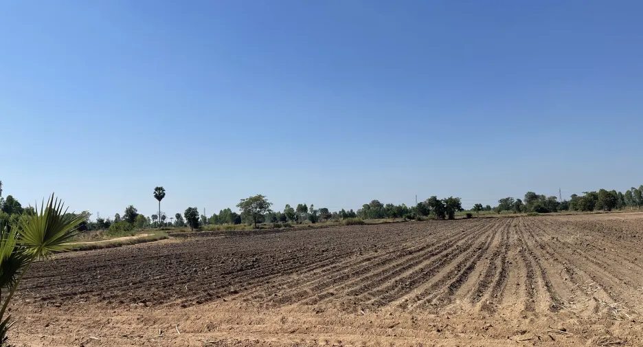 Grundstück zum Kauf in Phrom Phiram, Phitsanulok