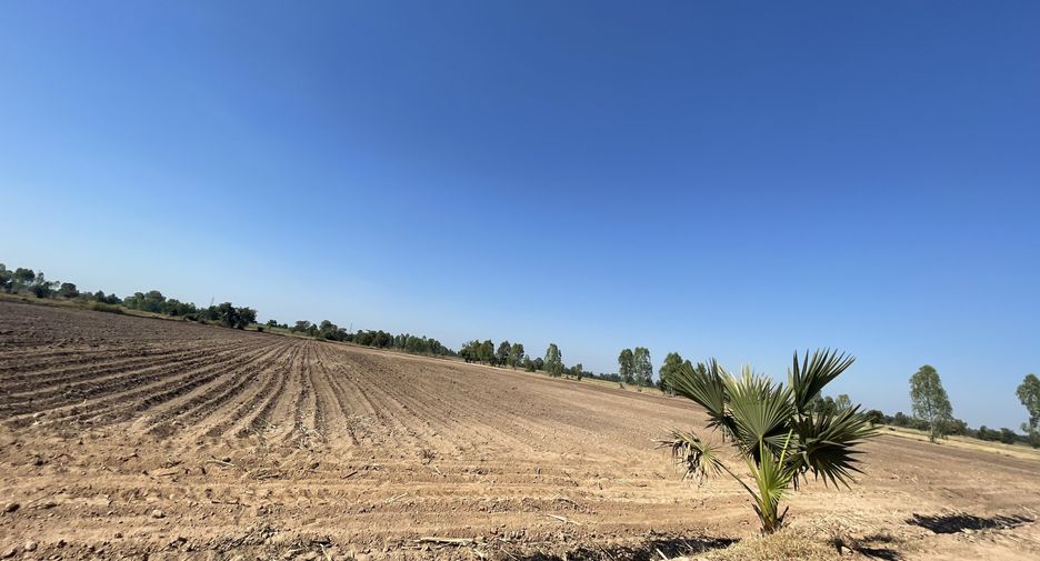 For sale land in Phrom Phiram, Phitsanulok