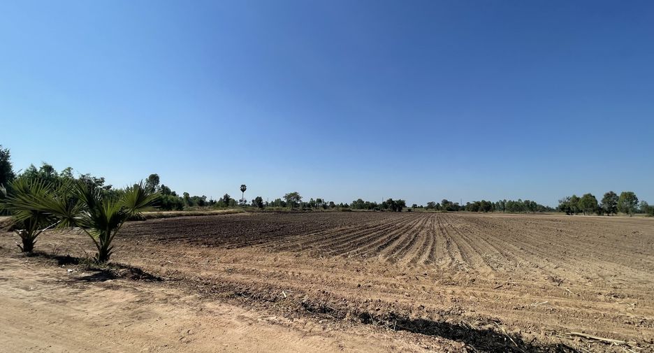 For sale land in Phrom Phiram, Phitsanulok