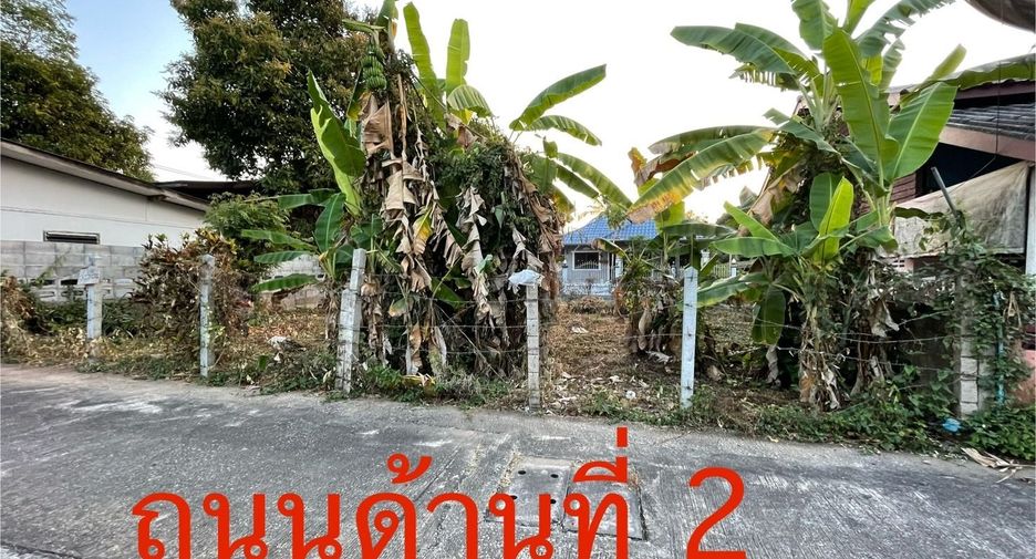 For sale land in Chiang Khong, Chiang Rai