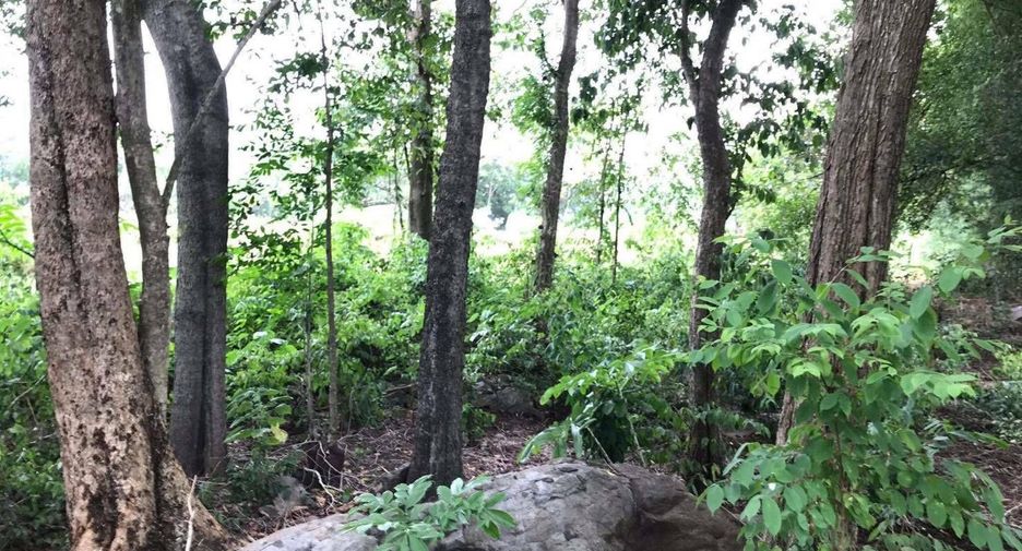 For sale land in Muak Lek, Saraburi