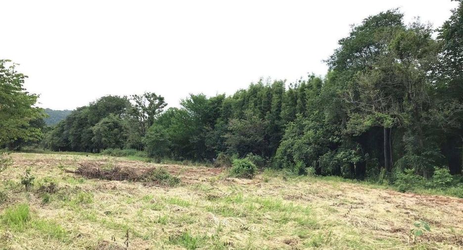 For sale land in Muak Lek, Saraburi