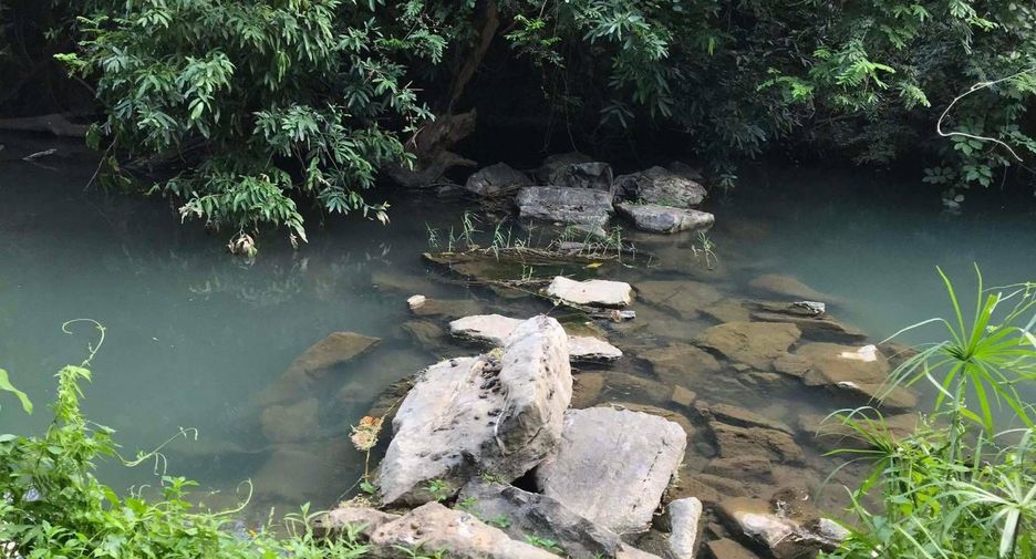 For sale land in Muak Lek, Saraburi