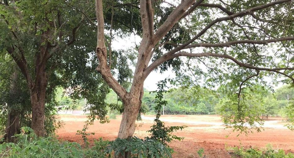For sale land in Muak Lek, Saraburi
