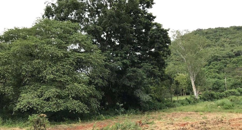 For sale land in Muak Lek, Saraburi