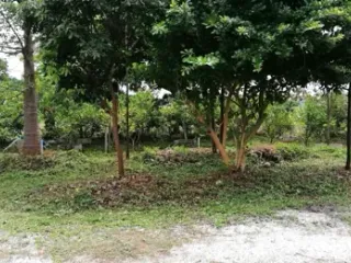 Terreno en venta en Tha Muang, Kanchanaburi