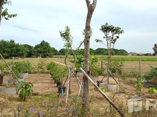 Terreno en venta en Tha Muang, Kanchanaburi