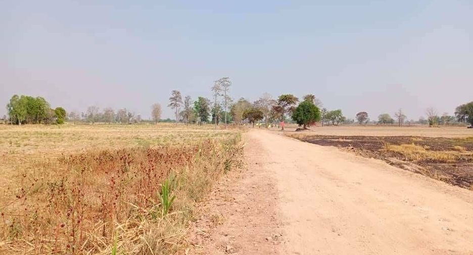 For sale land in Doem Bang Nang Buat, Suphan Buri