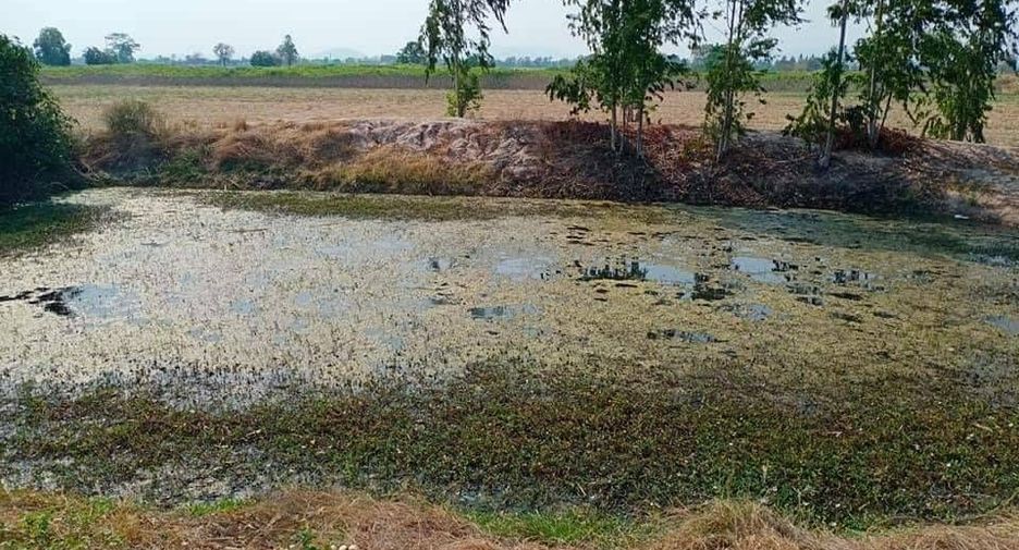 For sale land in Doem Bang Nang Buat, Suphan Buri