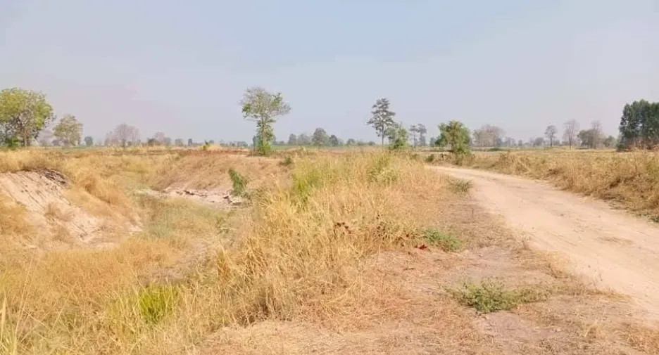 For sale land in Doem Bang Nang Buat, Suphan Buri