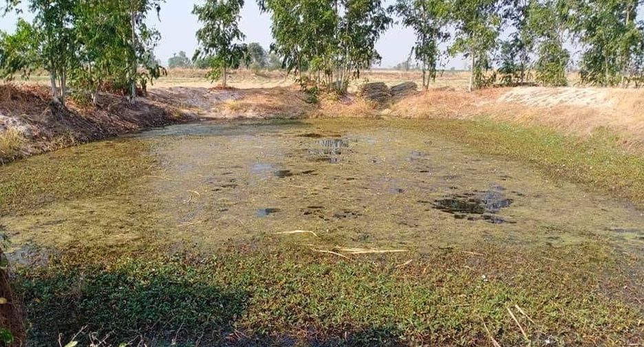 For sale land in Doem Bang Nang Buat, Suphan Buri