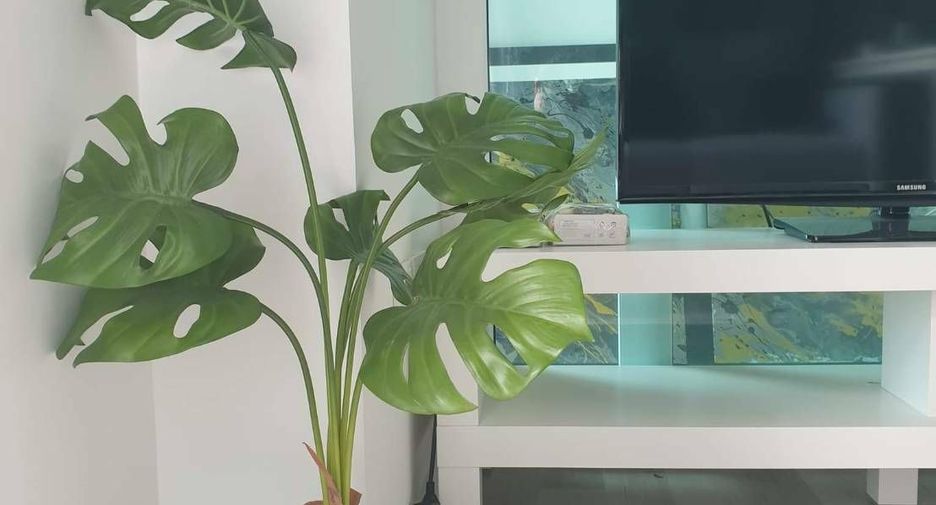 For sale 1 bed condo in Pak Kret, Nonthaburi