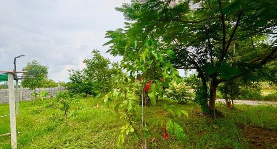 For sale land in Chom Bueng, Ratchaburi