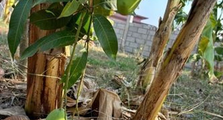 For sale land in Chom Bueng, Ratchaburi