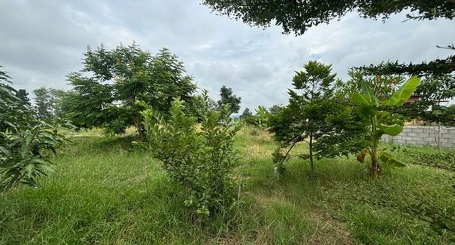 For sale land in Chom Bueng, Ratchaburi