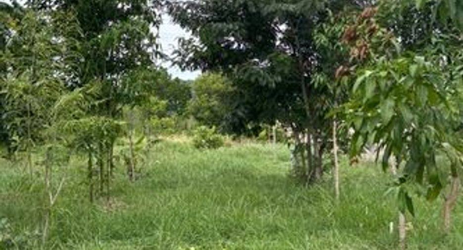 For sale land in Chom Bueng, Ratchaburi