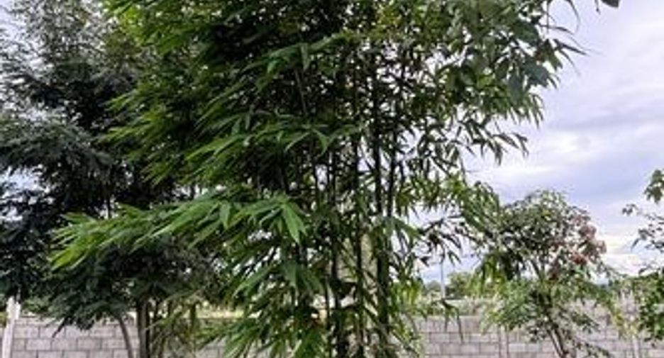 For sale land in Chom Bueng, Ratchaburi