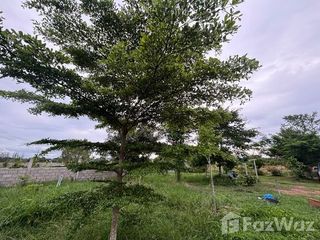 ขาย ที่ดิน ใน จอมบึง, ราชบุรี
