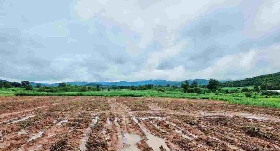 For sale land in Dan Chang, Suphan Buri