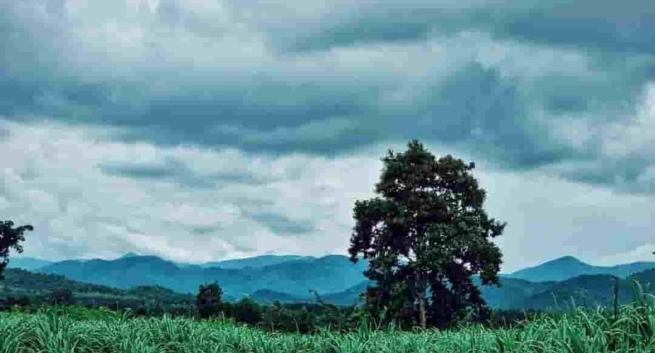For sale land in Dan Chang, Suphan Buri