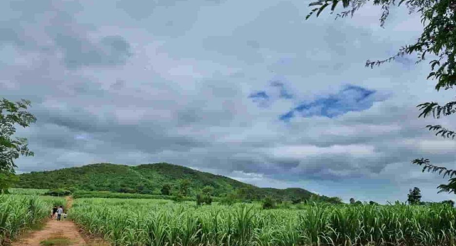 For sale land in Dan Chang, Suphan Buri