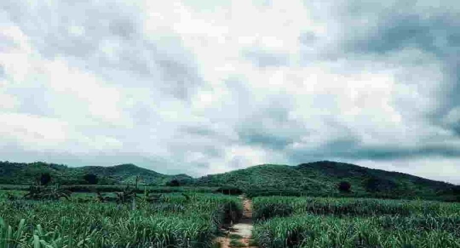 For sale land in Dan Chang, Suphan Buri