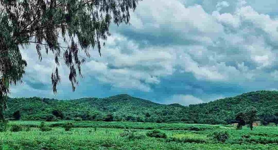 For sale land in Dan Chang, Suphan Buri
