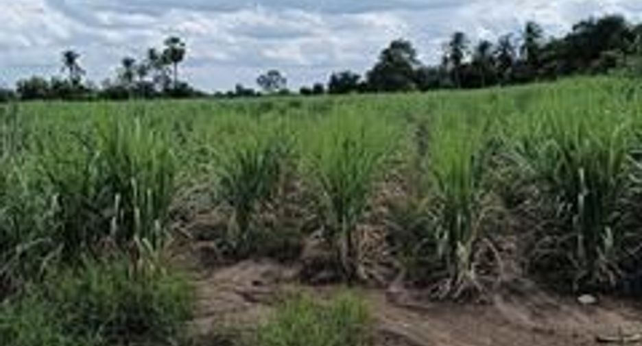 For sale land in Si Thep, Phetchabun
