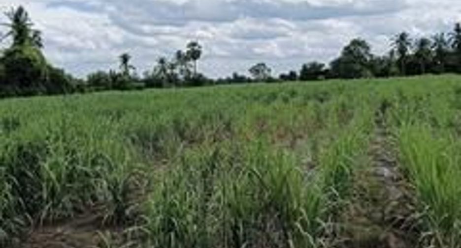 For sale land in Si Thep, Phetchabun