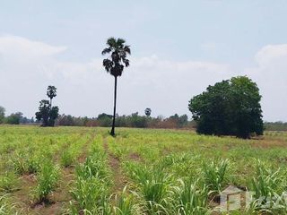 出售 土地 在 Noen Kham, Chai Nat