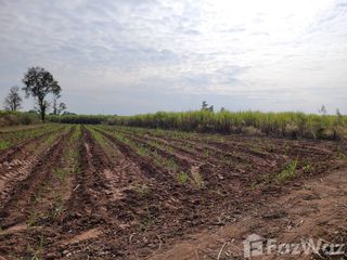 Продажа Участок в Nong Ruea, Кхонкен