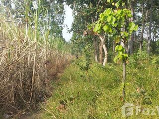 出售 土地 在 Kuchinarai, Kalasin