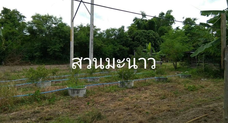 À vendre terrain à Sop Prap, Lampang